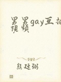 男男gay互插视频