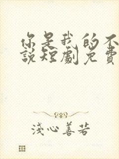 你是我的不可言说短剧免费播放全集