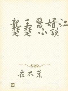 龙王医婿江辰唐楚楚 小说