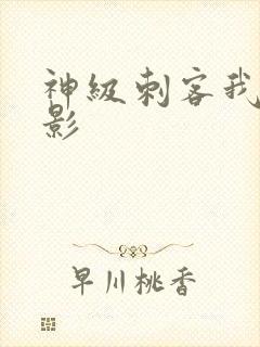 神级刺客我是暗影