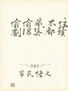 偷偷藏不住广播剧18集都积灰了