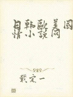 日韩欧美国产激情小说网封面