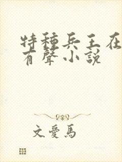 特种兵王在都市有声小说