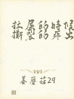 拉屎的时候肛门撕裂的疼出血怎么回事