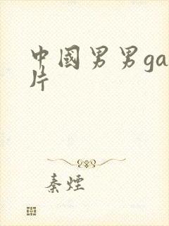 中国男男gay片