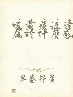 咳黄痰流清鼻涕属于什么感冒