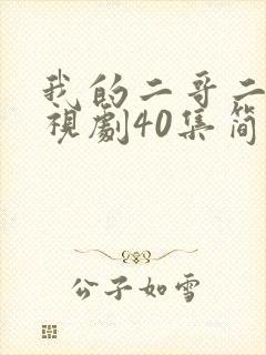 我的二哥二嫂电视剧40集简介