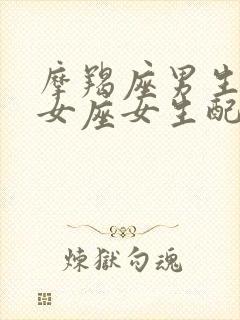 摩羯座男生和处女座女生配吗