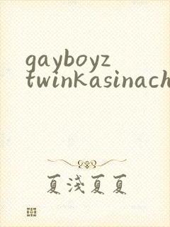 gayboyztwinkasinachinese