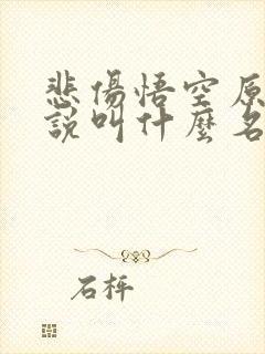 悲伤悟空原著小说叫什么名字封面