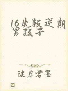 16岁叛逆期的男孩子