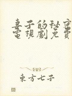 妻子的秘密韩剧电视剧免费观看