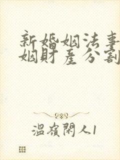 新婚姻法事实婚姻财产分割封面