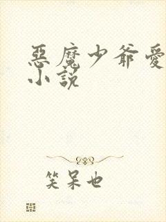 恶魔少爷爱上我小说