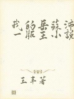 我的岳苏沛真第一版主小说网