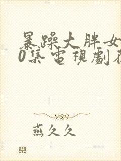 暴躁大胖女人40集电视剧在线观看免费