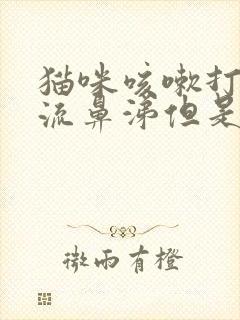 猫咪咳嗽打喷嚏流鼻涕但是精神很好封面