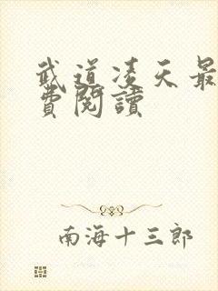 武道凌天最新免费阅读封面