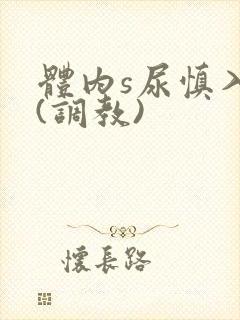 体内s尿慎入h(调教)