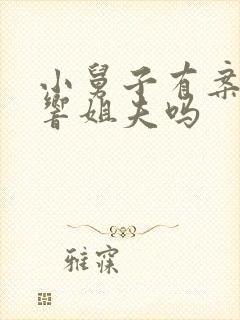 小舅子有案底影响姐夫吗