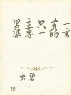 男主只有一个老婆专一的玄幻小说封面