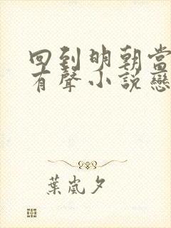 回到明朝当王爷有声小说恋听网封面