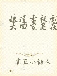 娘道电视剧老太太回家是在多少集