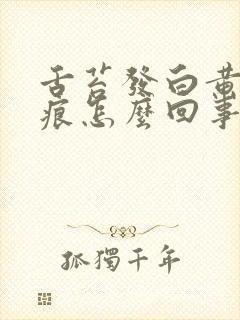 舌苔发白黄有齿痕怎么回事