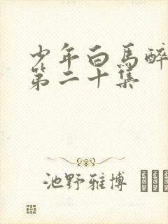 少年白马醉春风第二十集