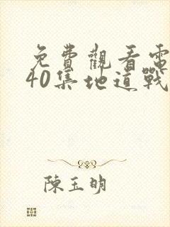 免费观看电视剧40集地道战