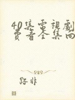 40集电视剧免费看全集向风