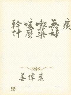 干咳嗽无痰是用什么药好