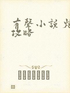 有声小说 炮灰攻略