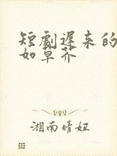 短剧迟来的深情如草芥