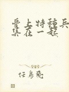 爱上特种兵第几集在一起