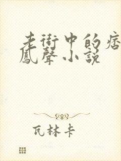 老街中的痞子赵凤声小说