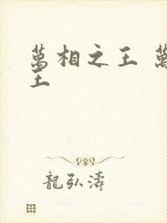 万相之王 万相王