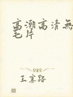 高潮高清无遮挡毛片