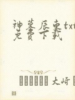 神墓辰东txt免费下载