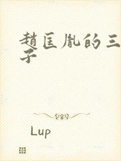 赵匡胤的三个儿子