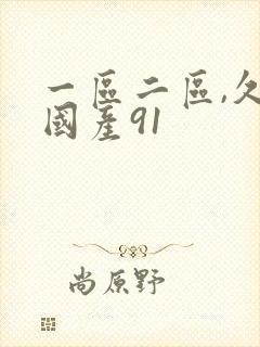 一区二区,久久国产91