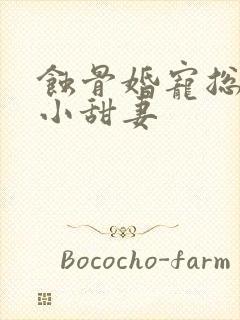 蚀骨婚宠总裁的小甜妻