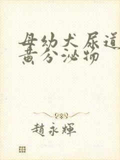 母幼犬尿道口有黄分泌物