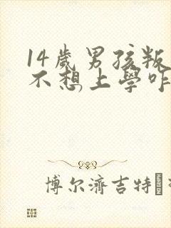 14岁男孩叛逆不想上学咋办