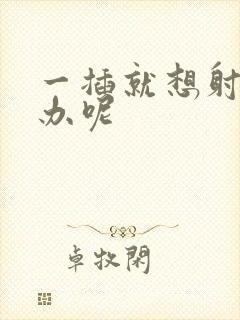 一插就想射怎么办呢封面