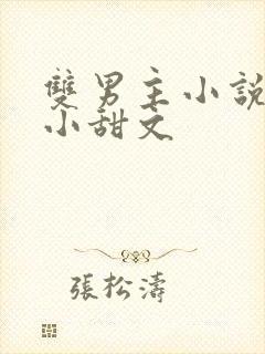 双男主小说推荐小甜文