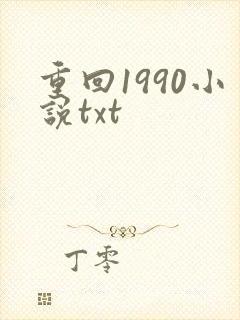 重回1990小说txt