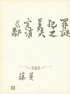 《完美犯罪:恶邻消失之谜》封面