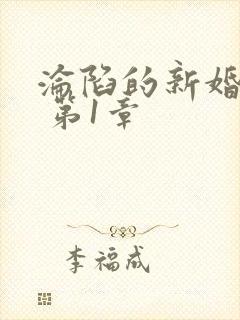 沦陷的新婚少妇 第1章