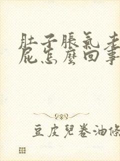 肚子胀气老是放屁怎么回事封面